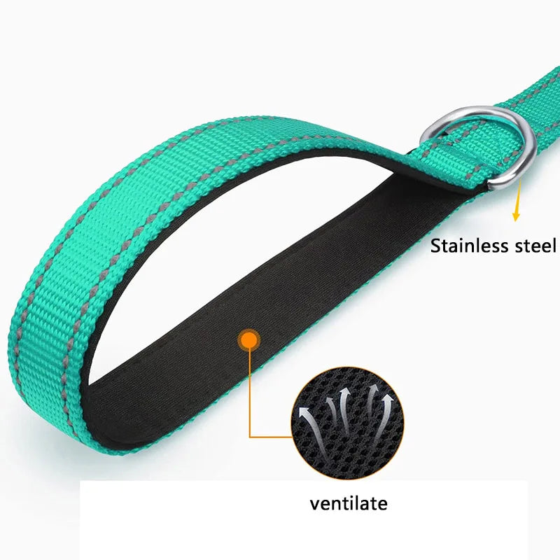 LumiStride Pet Leash – Reflective Harness & Lead for Safe Walks