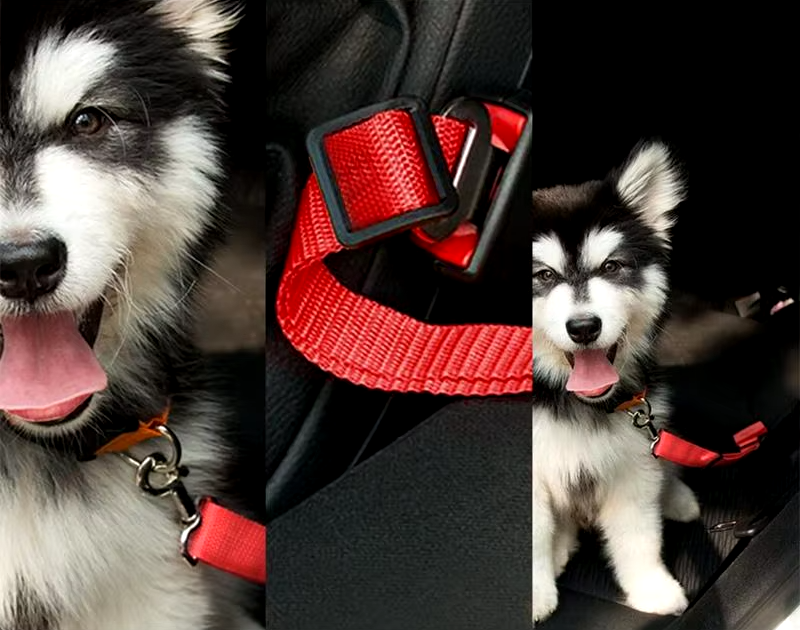 SafePaws Adjustable Pet Seat Belt