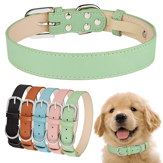 Pawfect Comfort Leather Collar