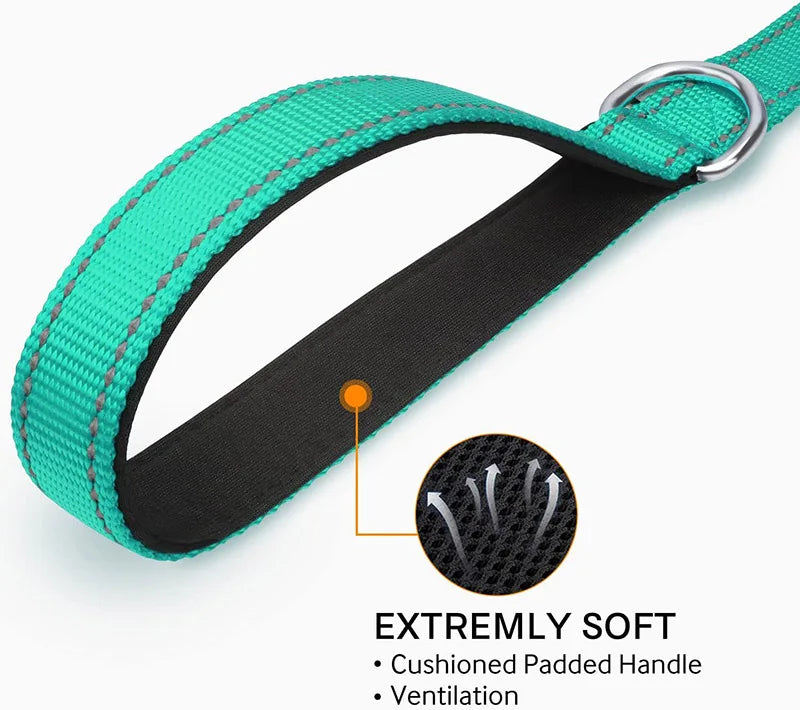 LumiStride Pet Leash – Reflective Harness & Lead for Safe Walks