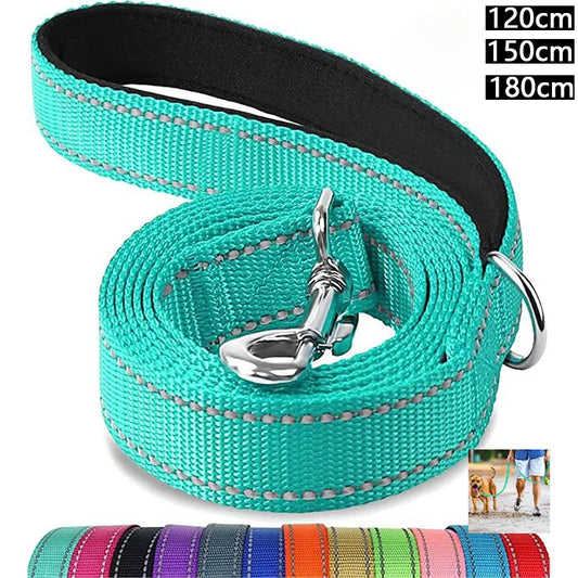 LumiStride Pet Leash – Reflective Harness & Lead for Safe Walks