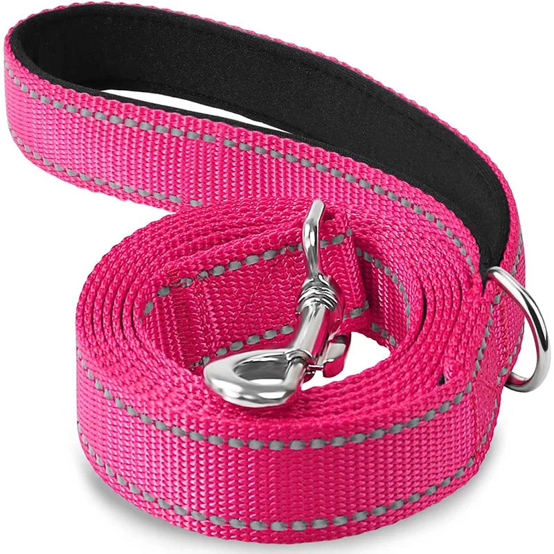 LumiStride Pet Leash – Reflective Harness & Lead for Safe Walks