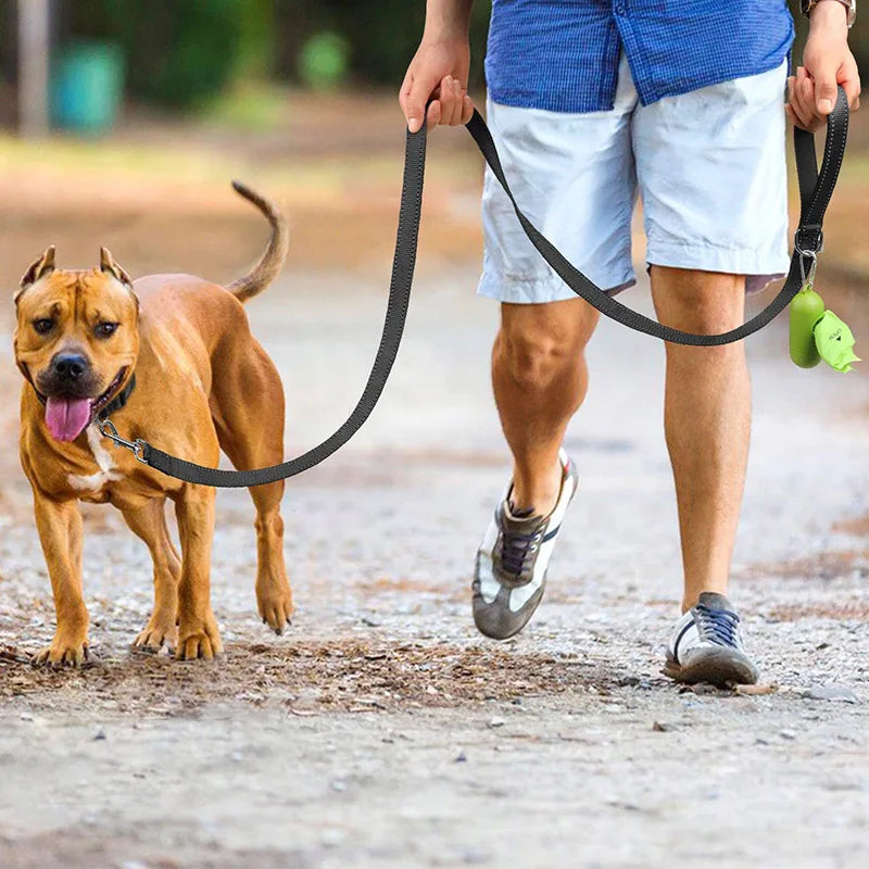 LumiStride Pet Leash – Reflective Harness & Lead for Safe Walks